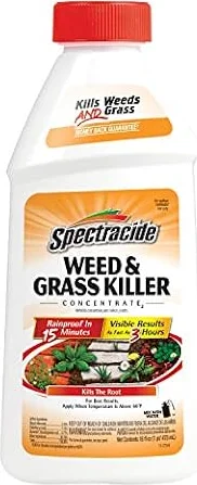 Spectracide Weed & Grass Killer Concentrate for Driveways & Walkways, 16 Oz