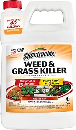 Spectracide Weed & Grass Killer Concentrate for Driveways & Walkways, 1 Gal