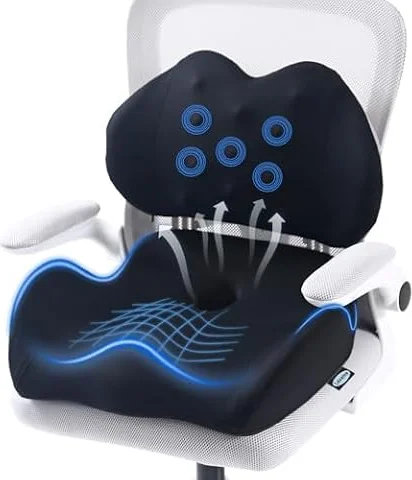 Lexeme X Large Memory Foam Seat Cushion Lumbar Support Pillow for Sciatica & Tailbone Pressure Relief Coccyx Pad for Office Chair, Car,Wheelchair,Home,Office
